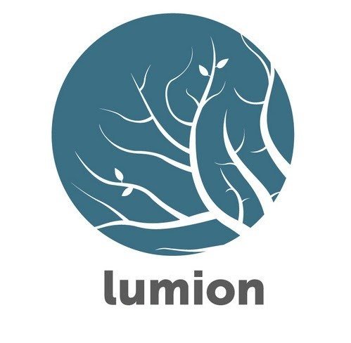 Lumion Pro 13.6 Crack + License Key Download Latest [2023]